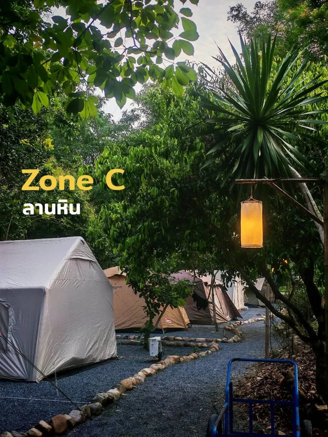 โซน C