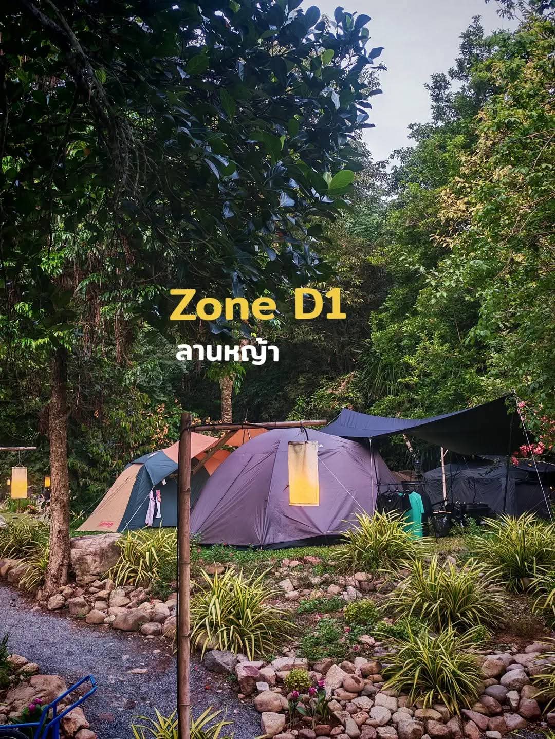 โซน D1-D2
